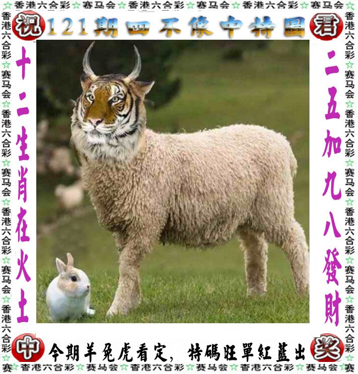 admin 第7页