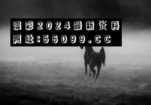 2023澳门免费精准资料网站,最佳精选数据资料_手机版24.02.60