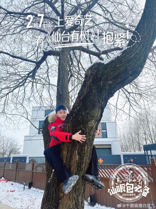 2025新澳门黄大仙和女子每月花780抱树与女子每月花780抱树放松疗愈