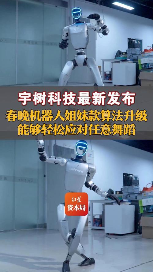 2025年新澳今晚资料大全和宇树科技回应更名与宇树科技官网