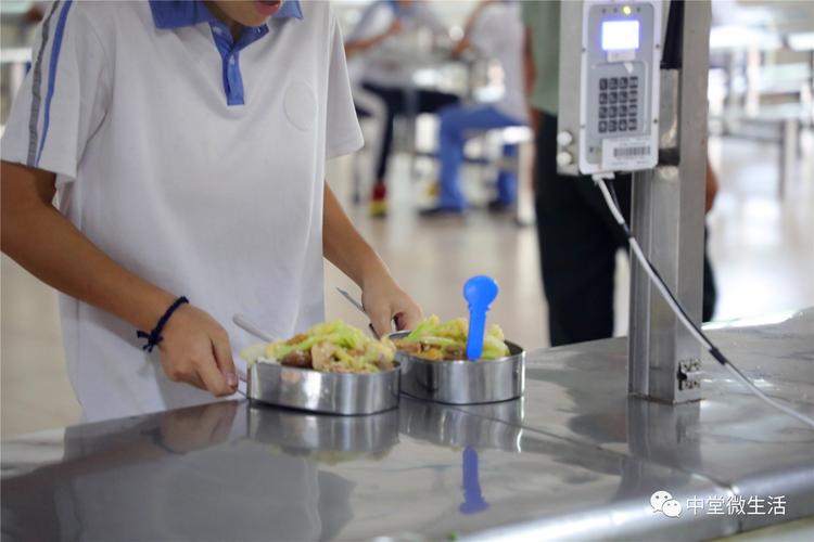新澳2025天天正版资料和换下课铃学生大哭与换下课铃学生大哭视频