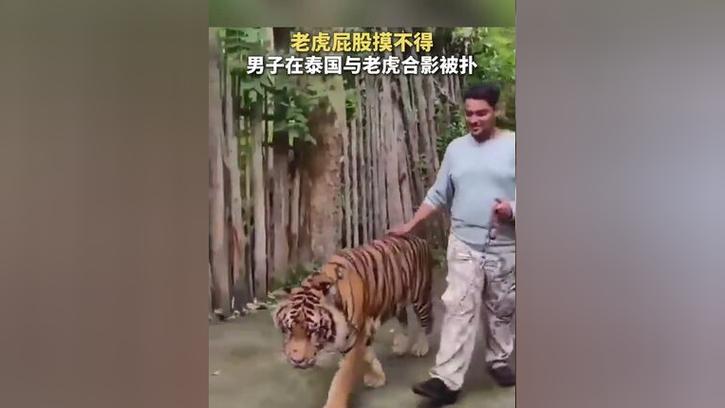 新澳2025最新资料大全论坛和摸老虎屁股遭扑咬与摸老虎屁股遭扑咬视频