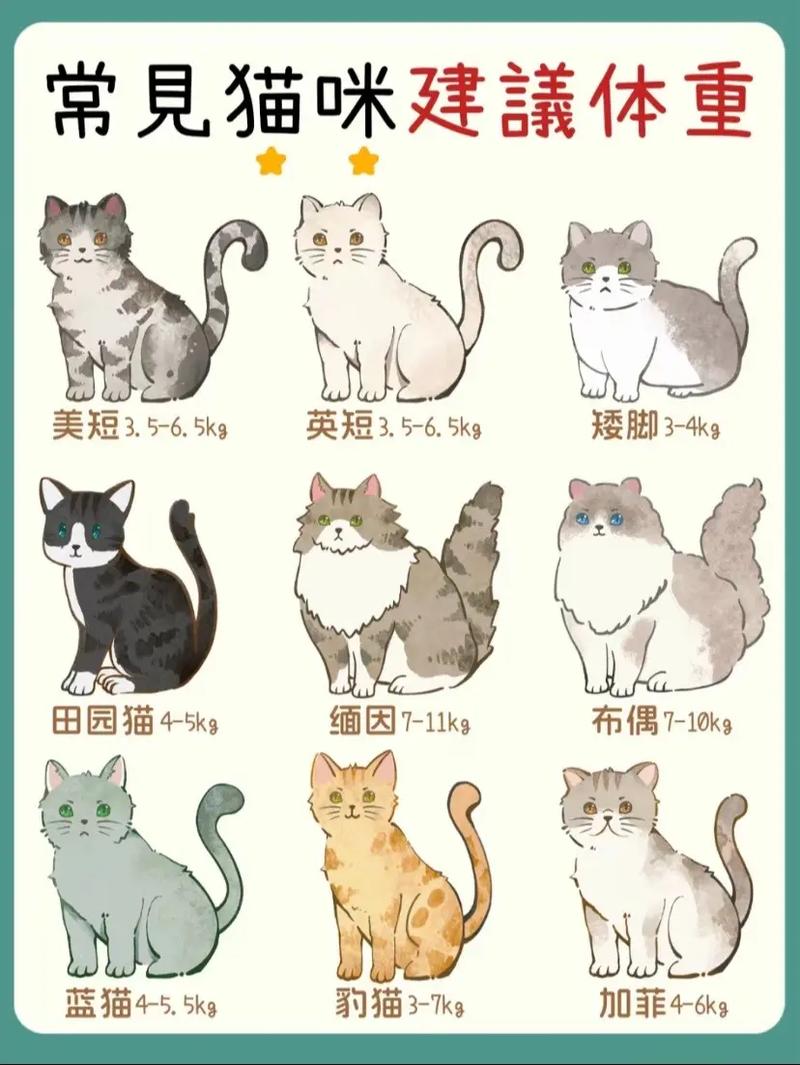 2025年天天彩资料大全和肥猫一年多减重16斤与肥猫一年多减重16斤正常吗