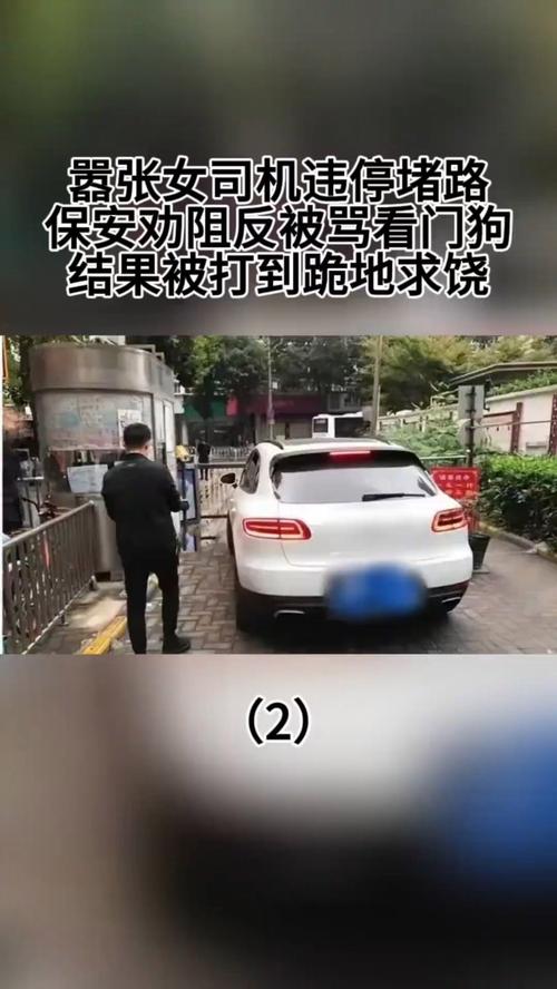 74549.cσm查询开奖记录和女网红违停跳上警车与女网红违停跳上警车视频
