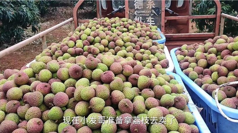 新门内部资料免费提供和商家互砸西瓜丢荔枝与