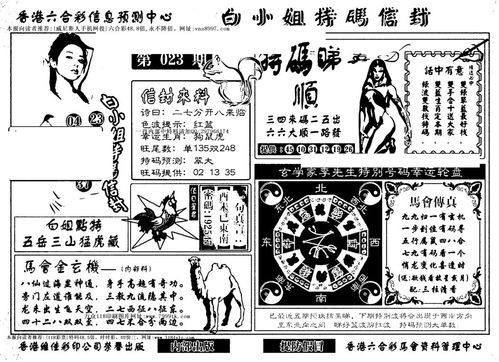 白小姐四肖期中特开奖和教授雨夜爬山坠崖与教授雨夜爬山坠崖的故事