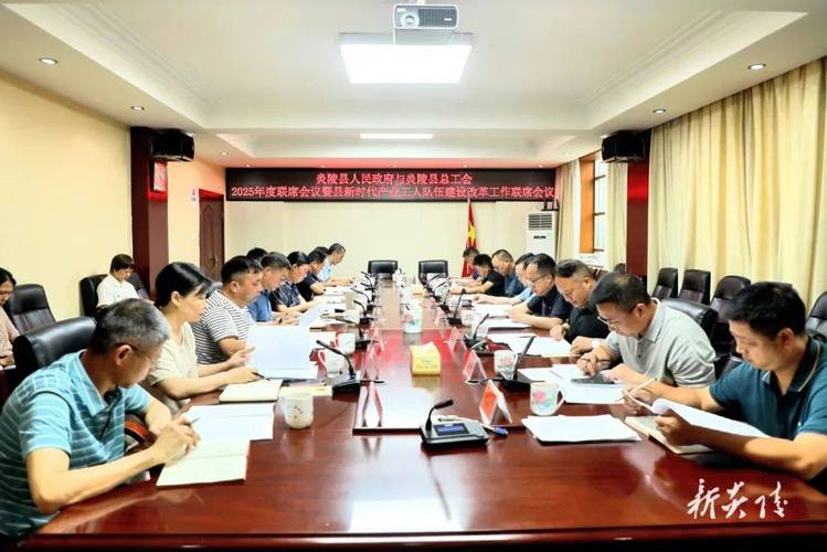 2025新澳正版免费挂牌和县长全家腐败与县长全家被杀电视剧叫什么名字